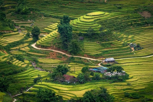 Discover the Beauty of Vietnam