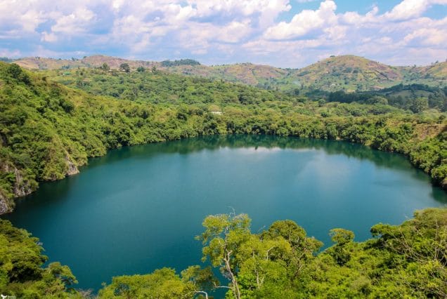 5 DAYS CHIMPANZEE & GORILLA TREKKING SAFARI  IN UGANDA-2025